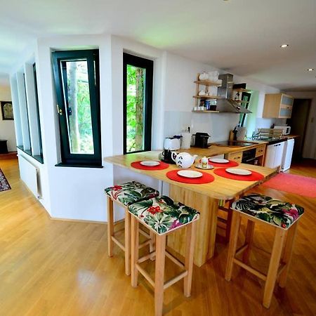 וינה Green Haven Roofgarden Penthouse In Central Area מראה חיצוני תמונה